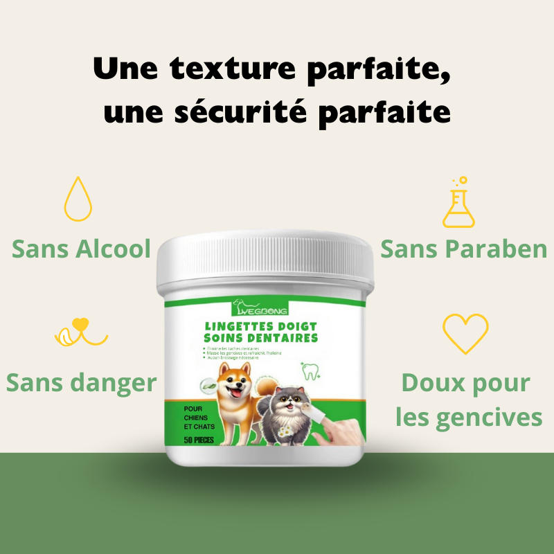 Lingettes dentaires naturelles