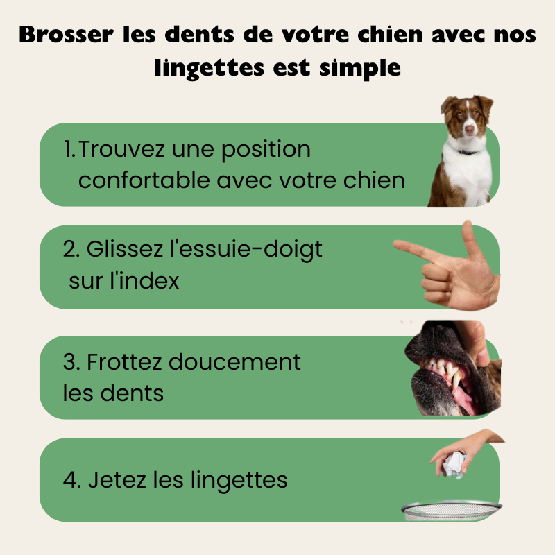 Lingettes dentaires naturelles