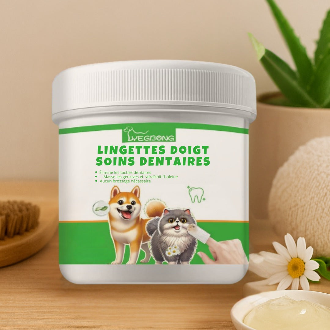 Lingettes dentaires naturelles